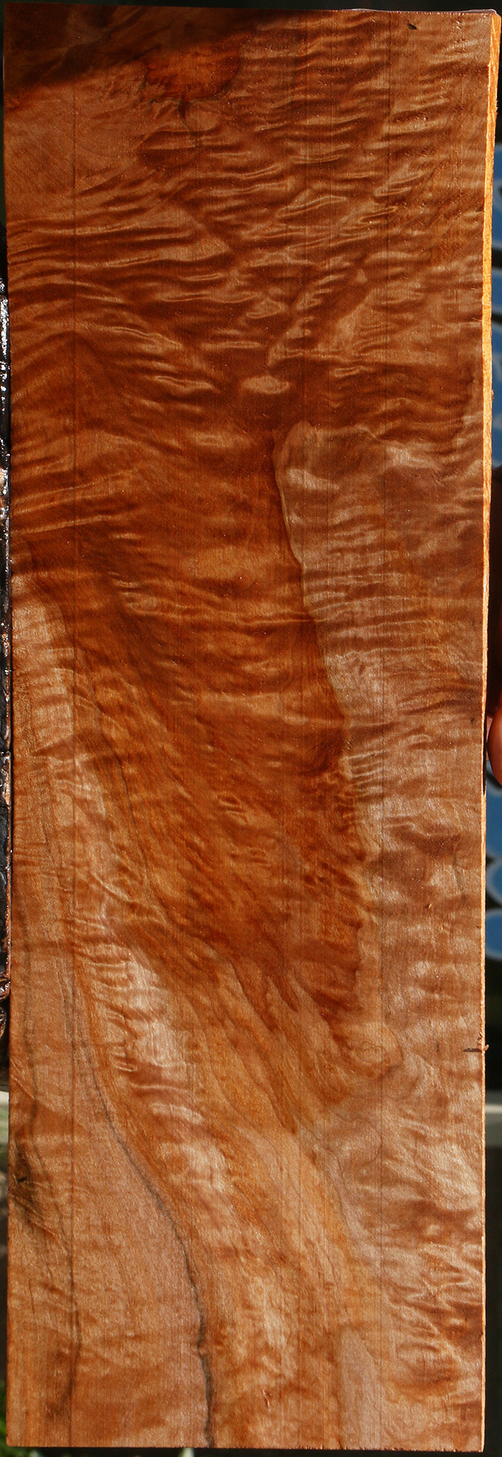 Extra Fancy Maple Lumber