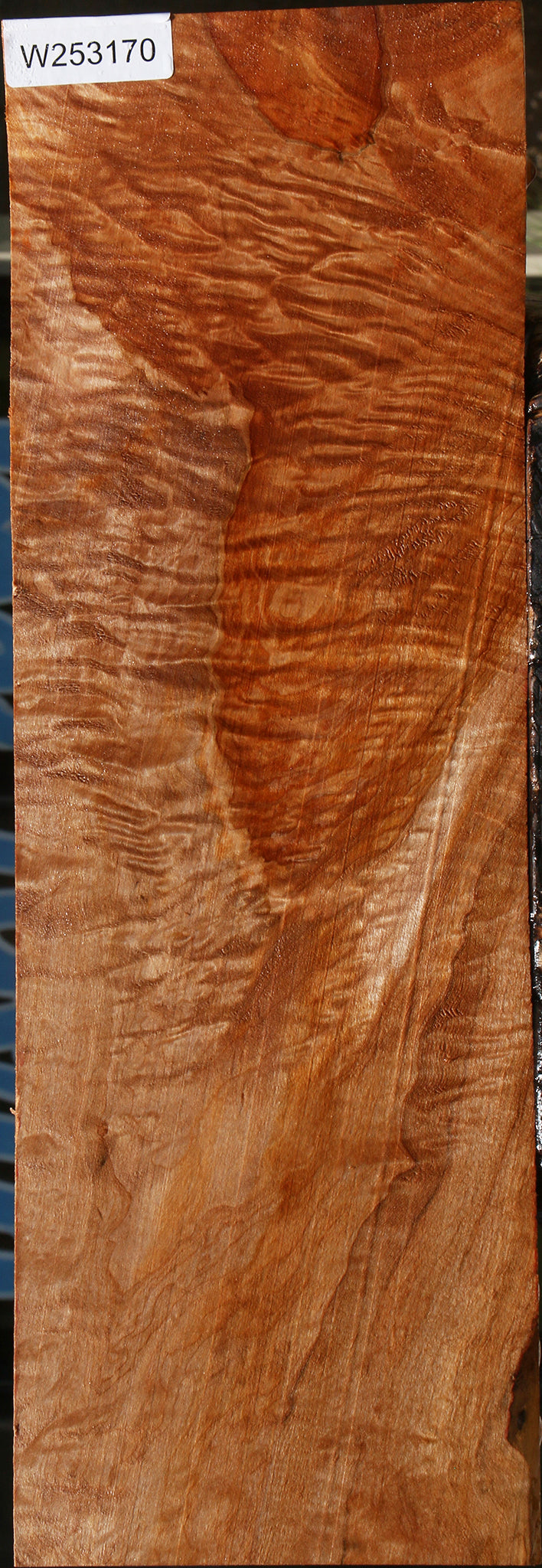Extra Fancy Maple Lumber