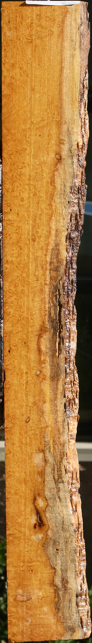 Movingui Live Edge Micro Lumber