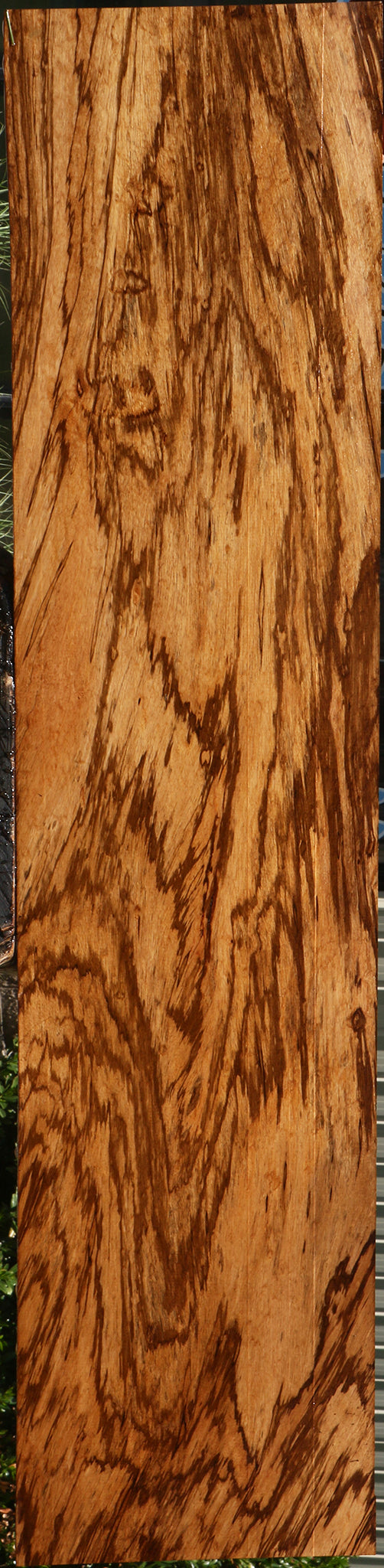 Extra Fancy Zebrawood Lumber