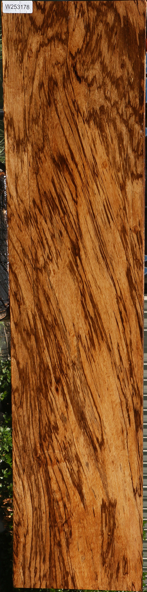Extra Fancy Zebrawood Lumber