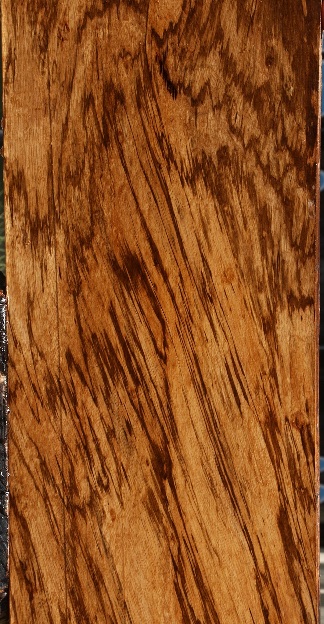 Extra Fancy Zebrawood Lumber