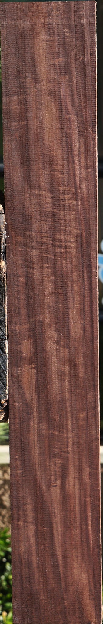 Extra Fancy Katalox Lumber