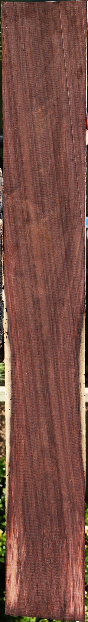 Katalox Lumber