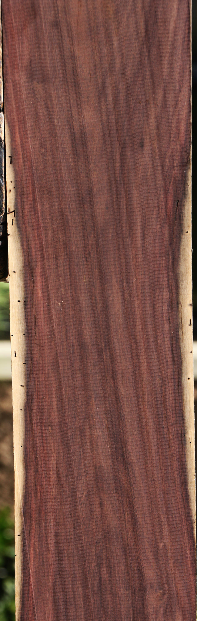 Katalox Lumber