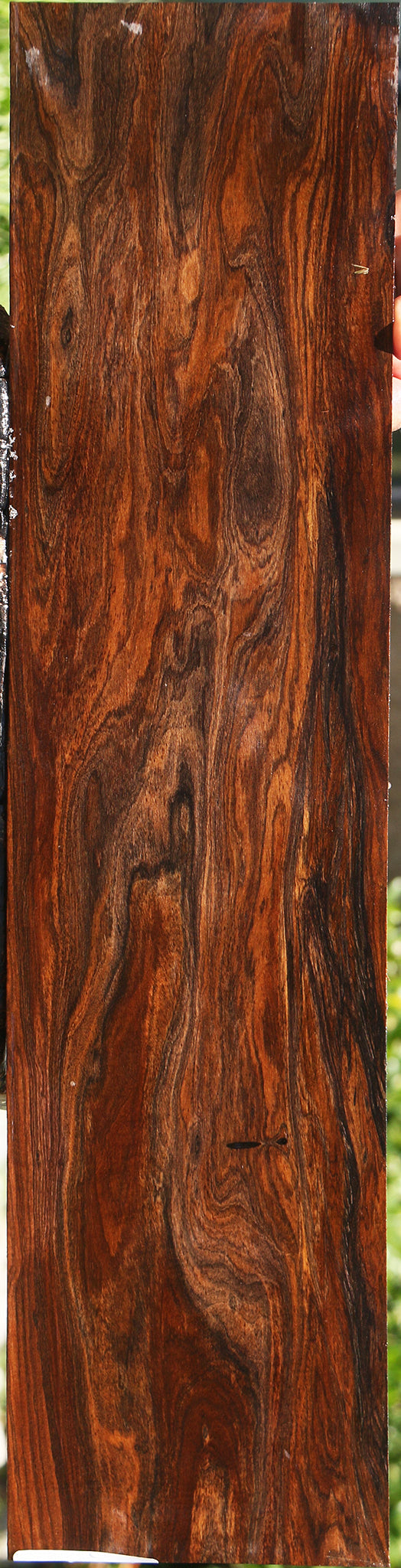 Extra Fancy Bolivian Rosewood Electric Guitar Drop Top Billet