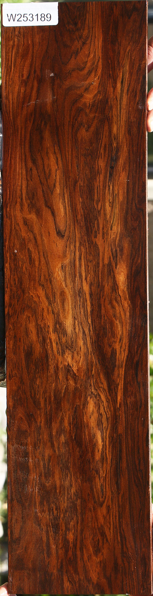 Extra Fancy Bolivian Rosewood Electric Guitar Drop Top Billet