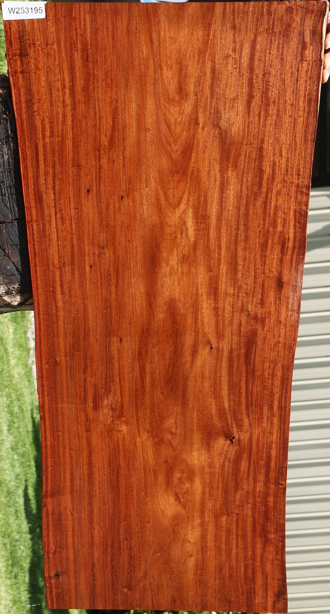 Extra Fancy Granadillo Live Edge Lumber