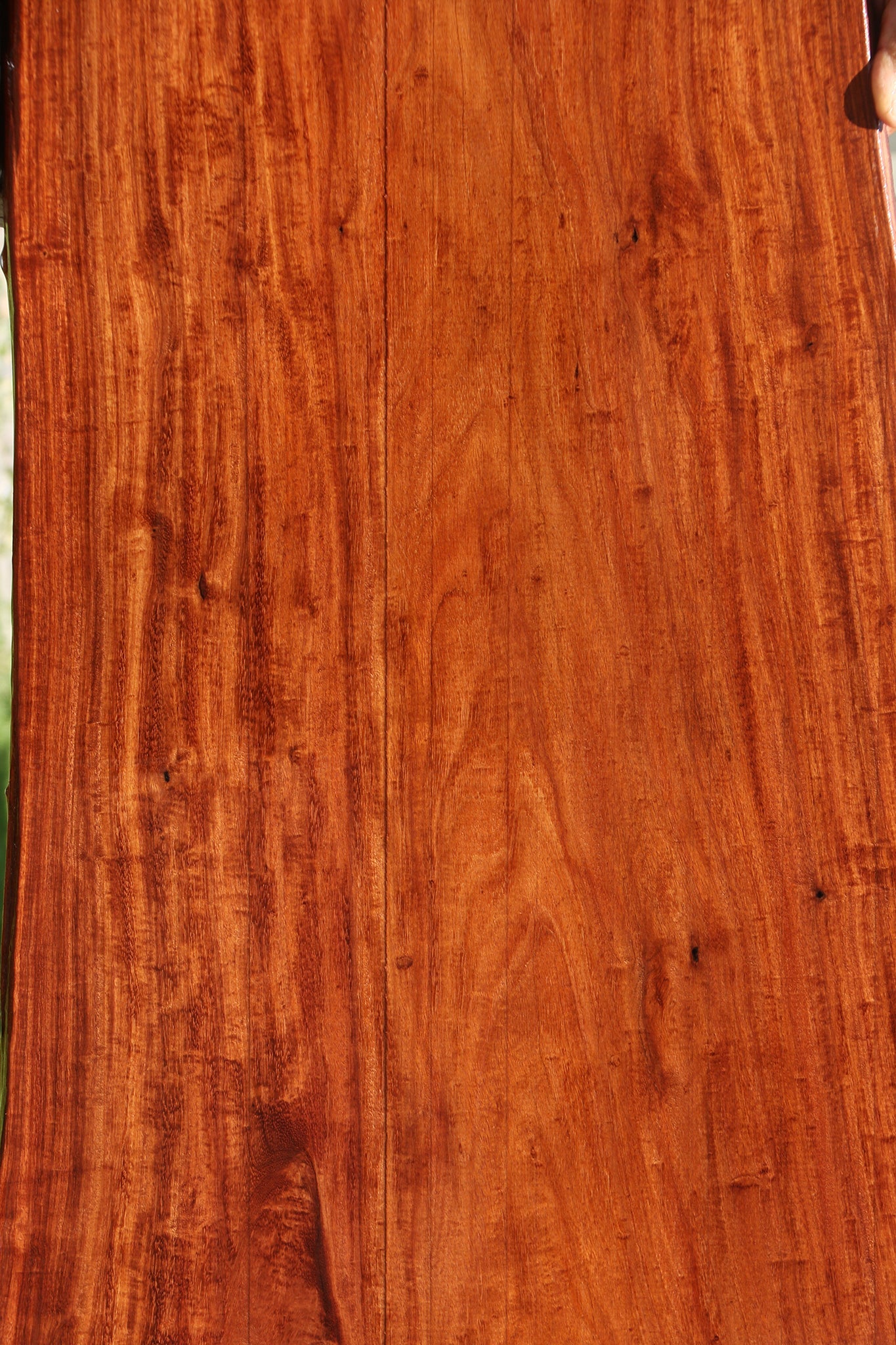 Extra Fancy Granadillo Live Edge Lumber