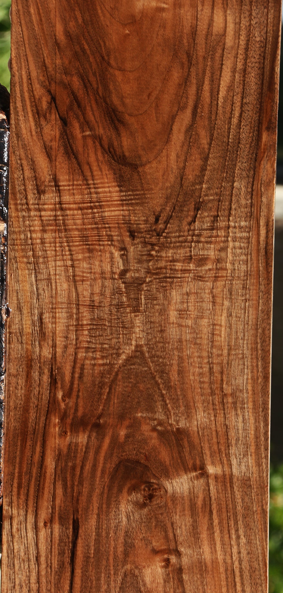 Extra Fancy Grafted Claro/English Walnut Lumber
