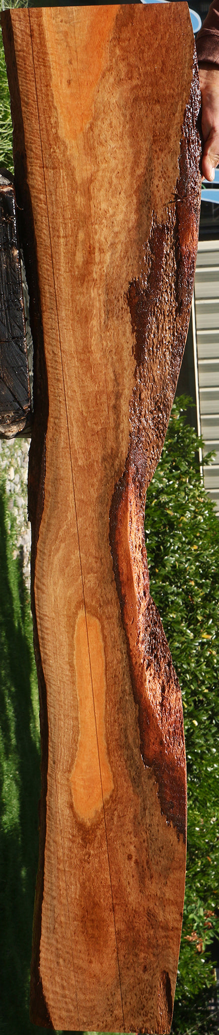 Extra Fancy Eucalyptus Live Edge Lumber