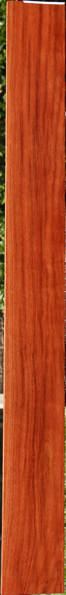 Figured Red Mallee Micro Lumber