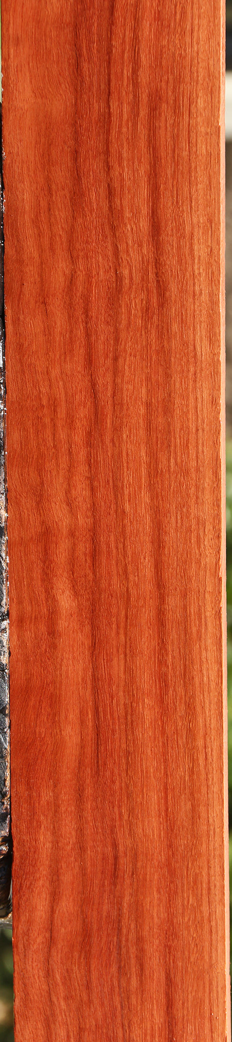 Figured Red Mallee Micro Lumber