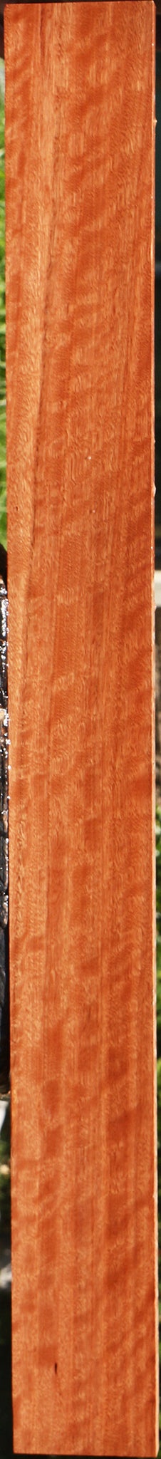 Extra Fancy Red Mallee Lumber