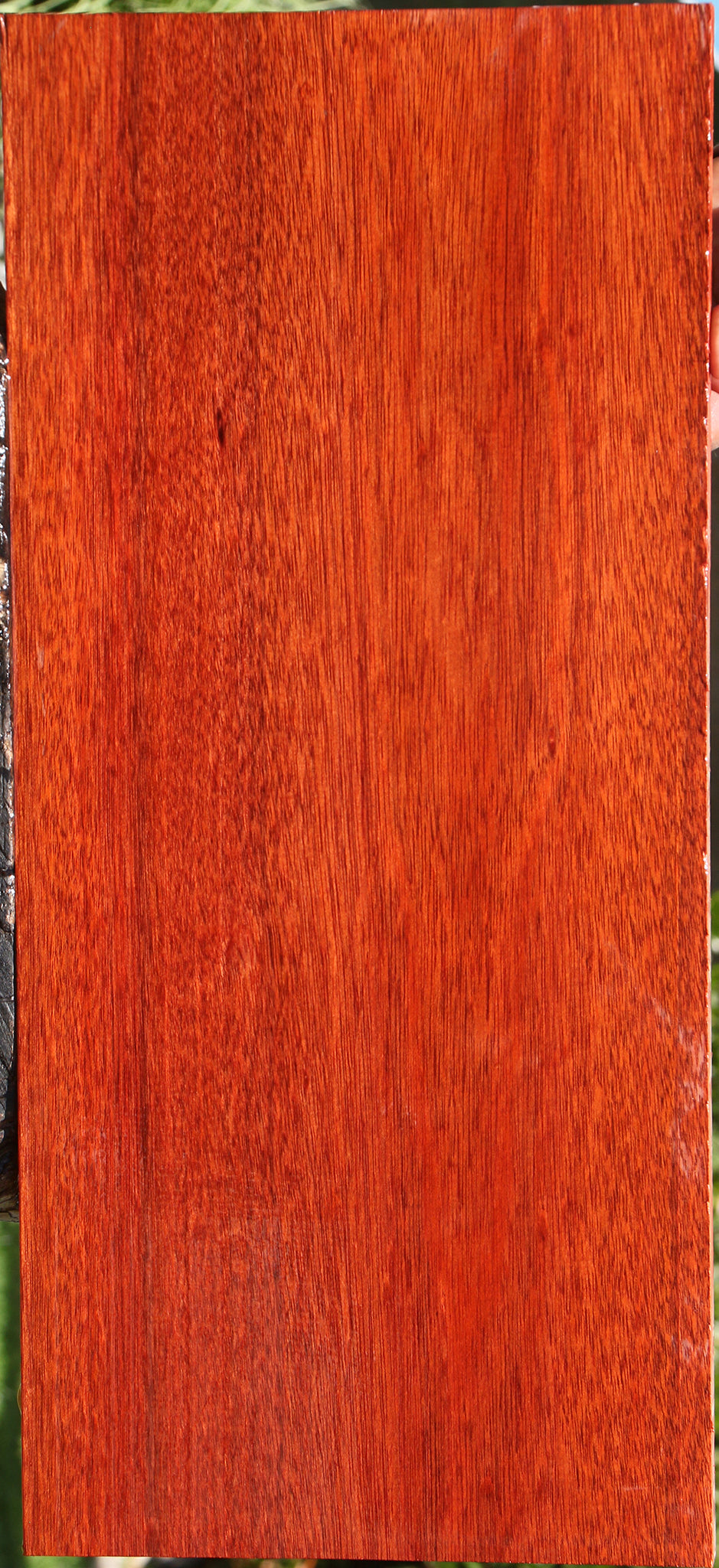 Bloodwood Electric Guitar Drop Top Billet