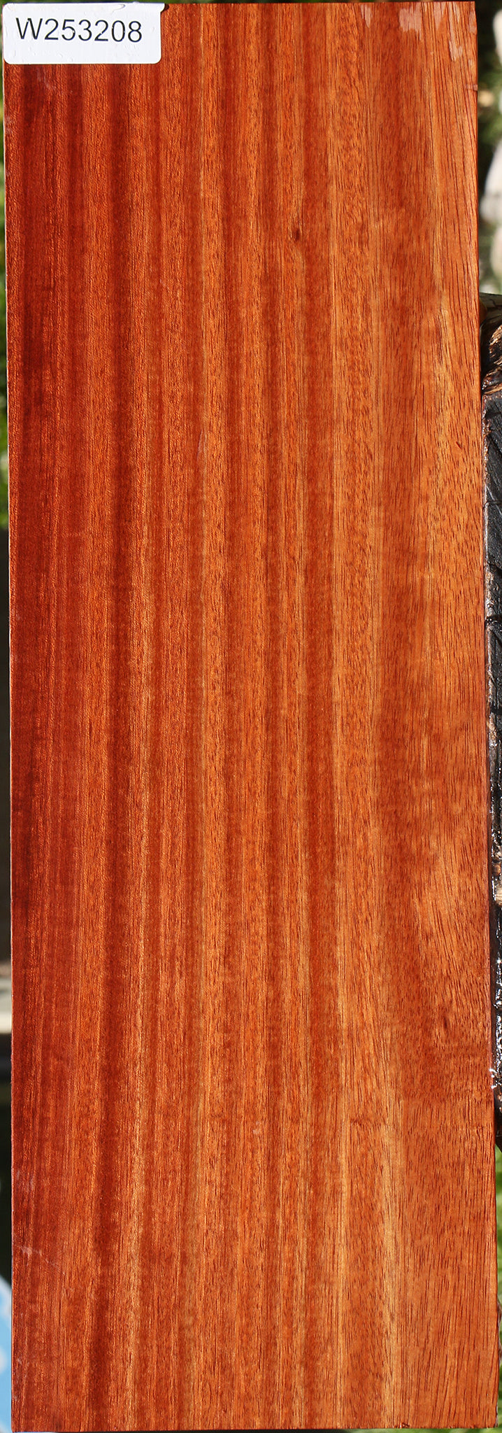 Figured Bloodwood Electric Guitar Drop Top Billet