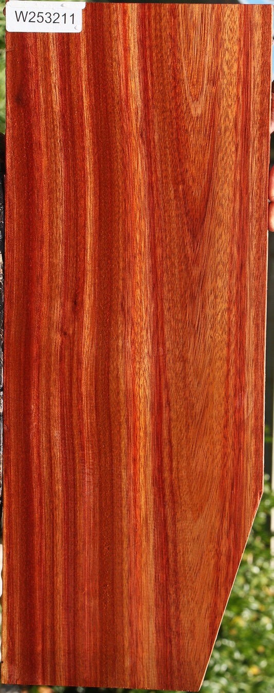 Extra Fancy Bloodwood Electric Guitar Drop Top Billet