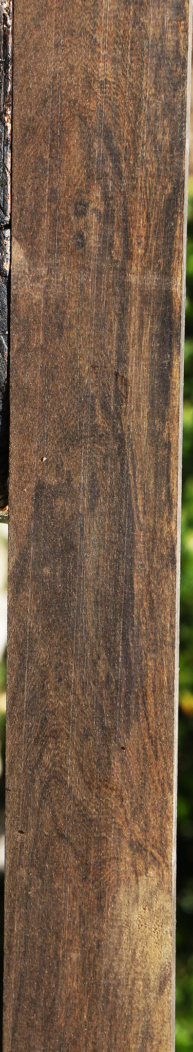 Brazilian Ebony Micro Lumber