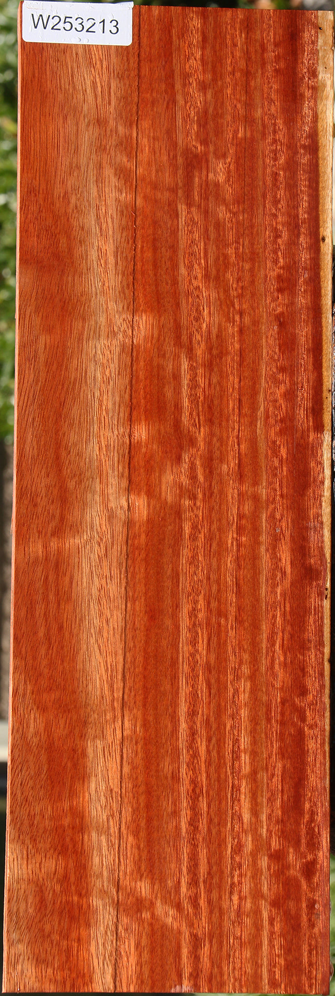 Figured Bloodwood Electric Guitar Drop Top Billet