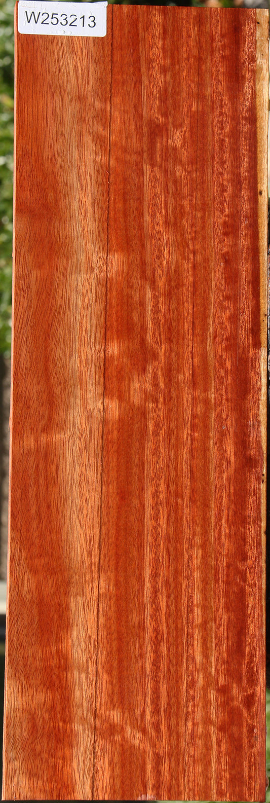 Figured Bloodwood Electric Guitar Drop Top Billet