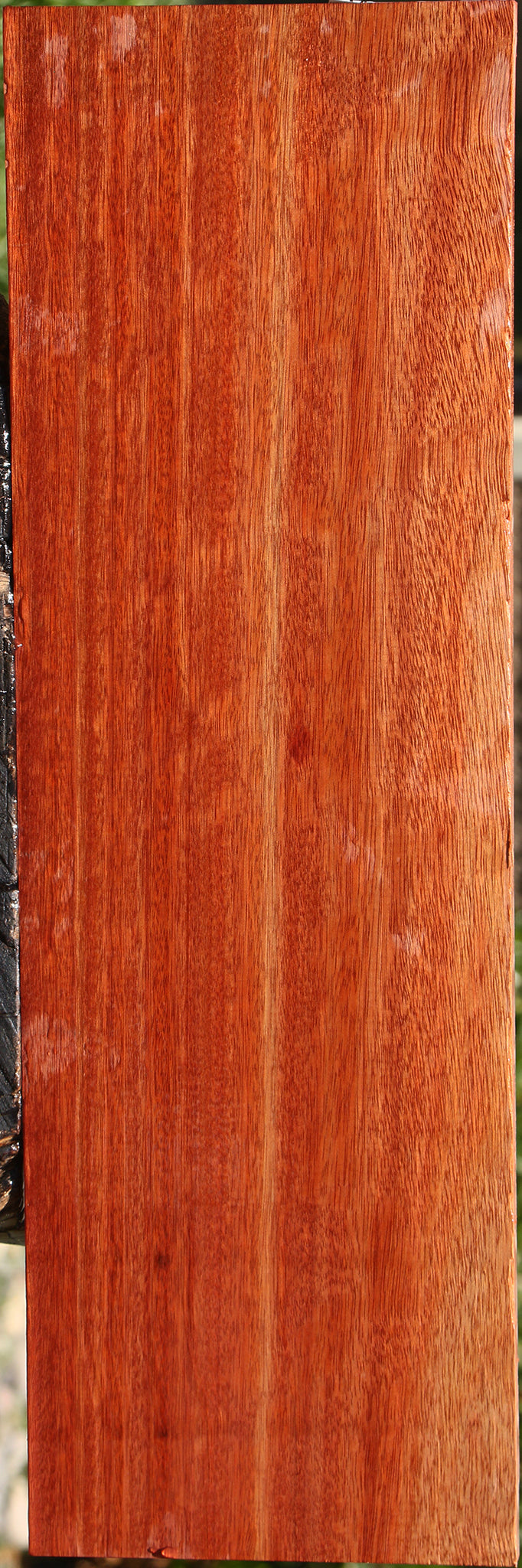 Figured Bloodwood Electric Guitar Drop Top Billet
