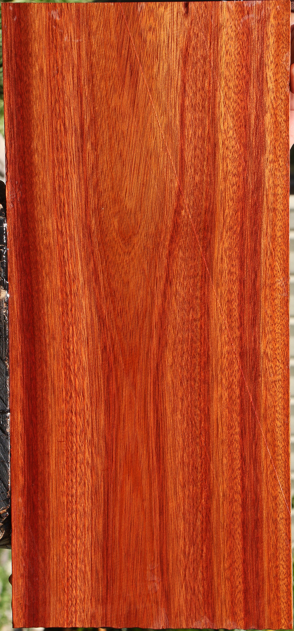 Bloodwood Electric Guitar Drop Top Billet