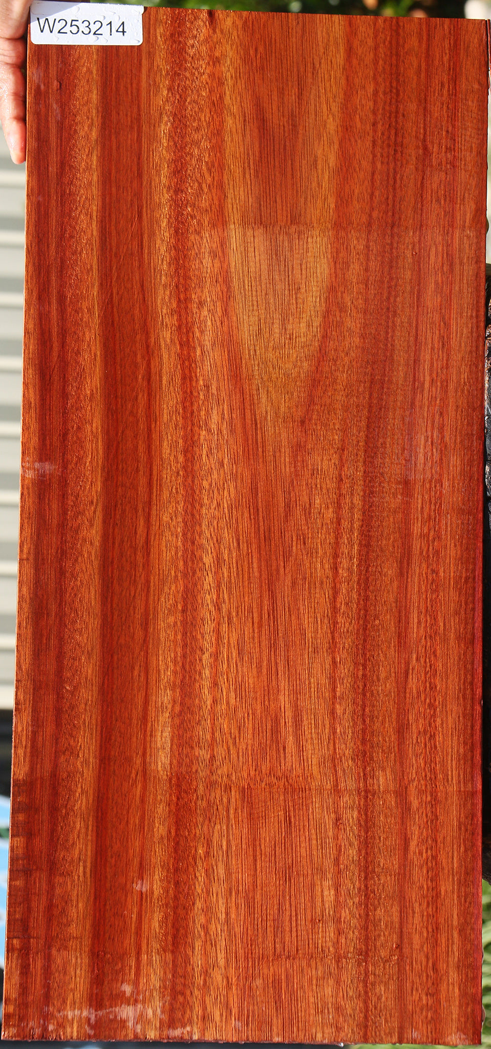 Bloodwood Electric Guitar Drop Top Billet