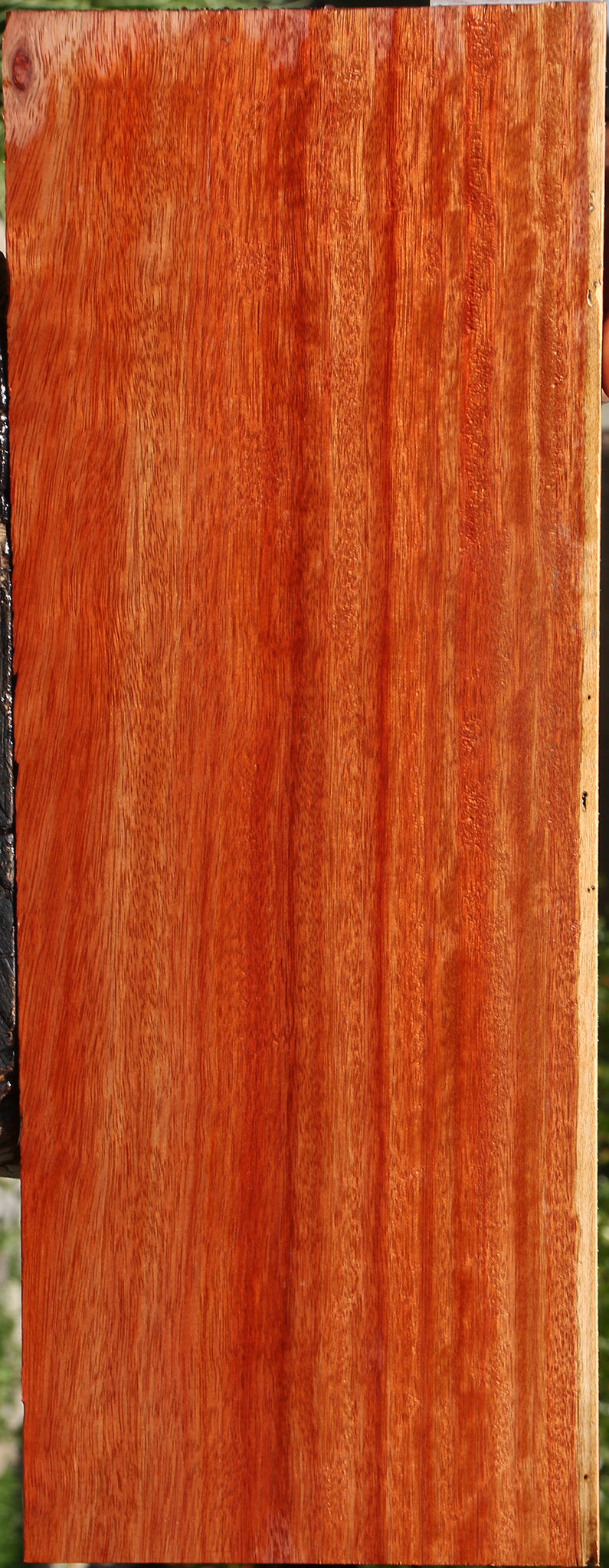 Figured Bloodwood Lumber