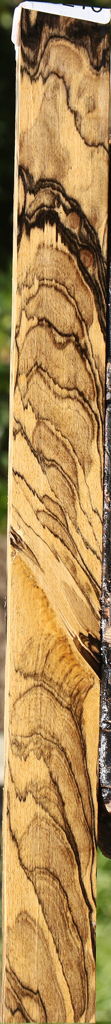 Exhibition Black & White Ebony Lumber