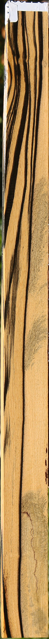 Figured Black & White Ebony Micro Lumber