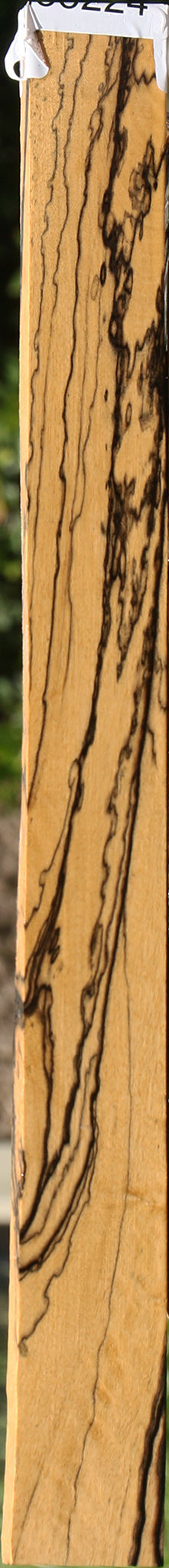 Extra Fancy Black & White Ebony Micro Lumber