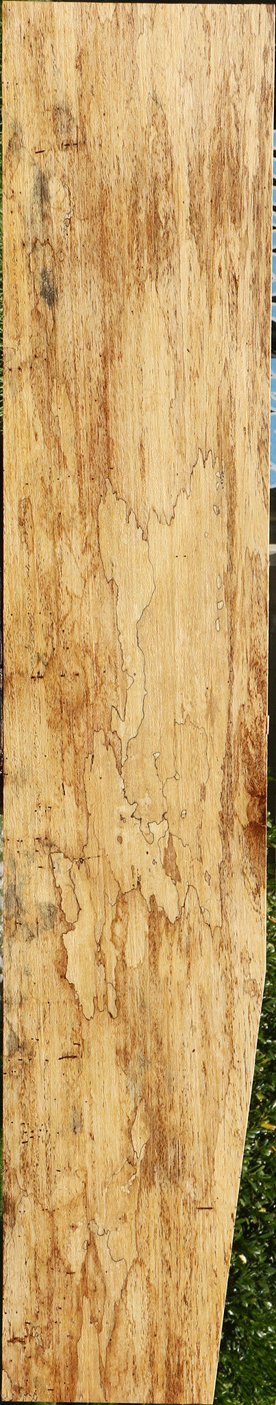 Spalted Mango Lumber