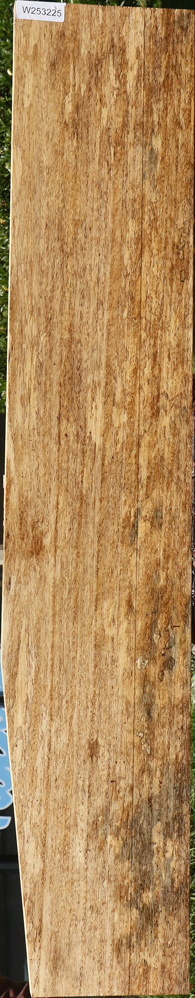 Spalted Mango Lumber