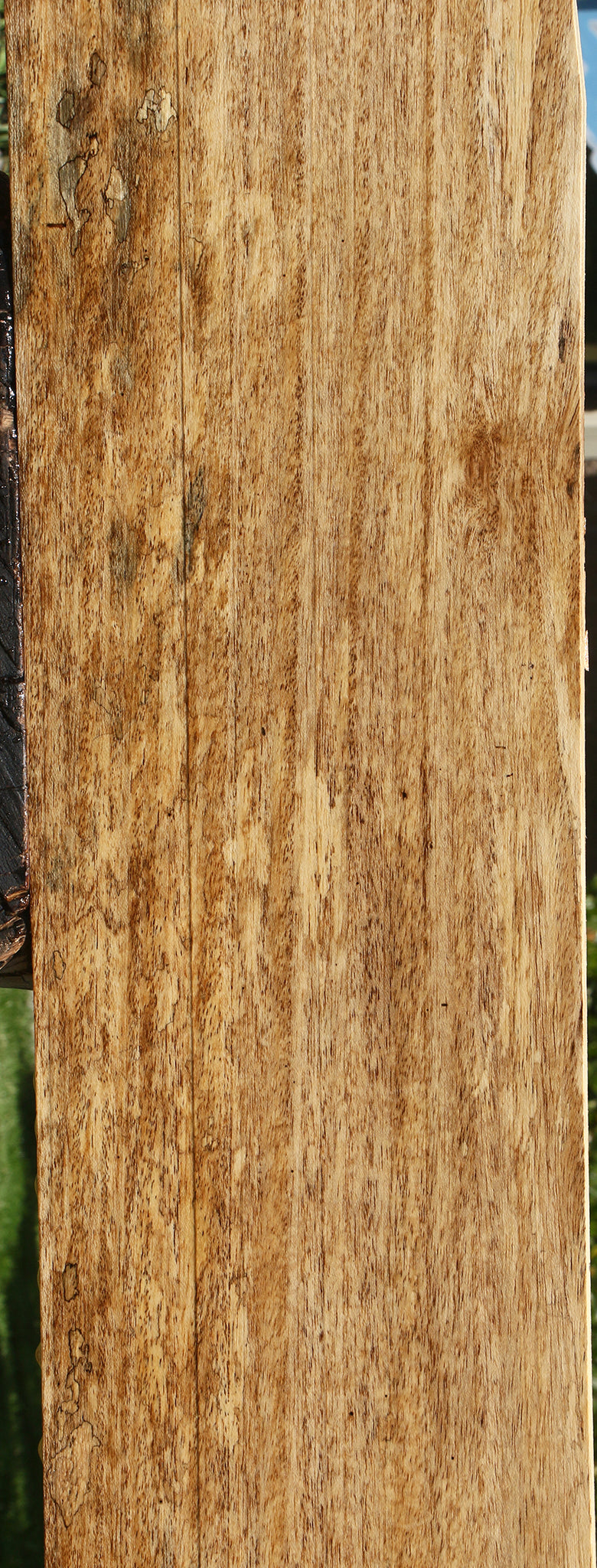 Spalted Mango Lumber