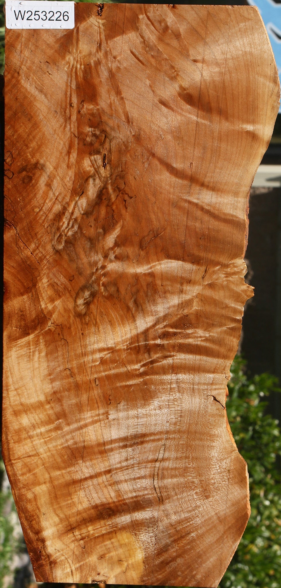 Extra Fancy Maple Live Edge Lumber