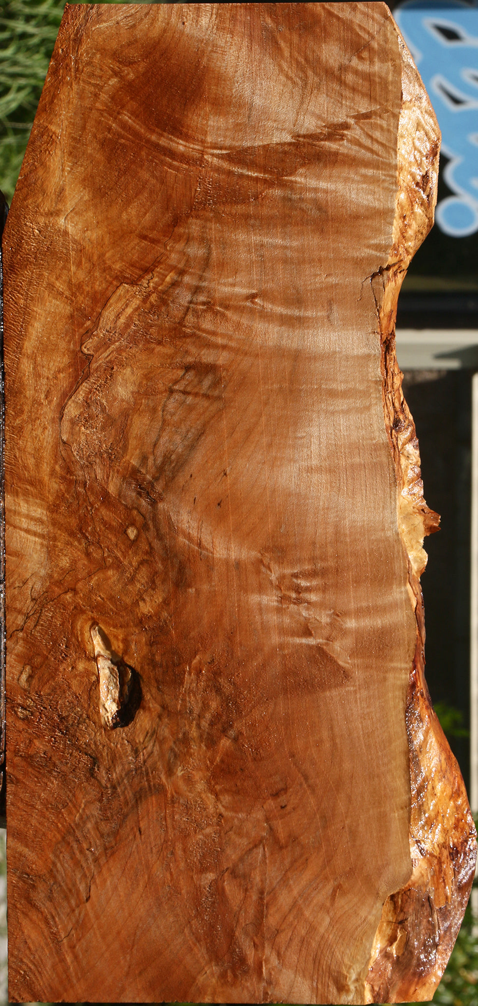 Extra Fancy Maple Live Edge Lumber