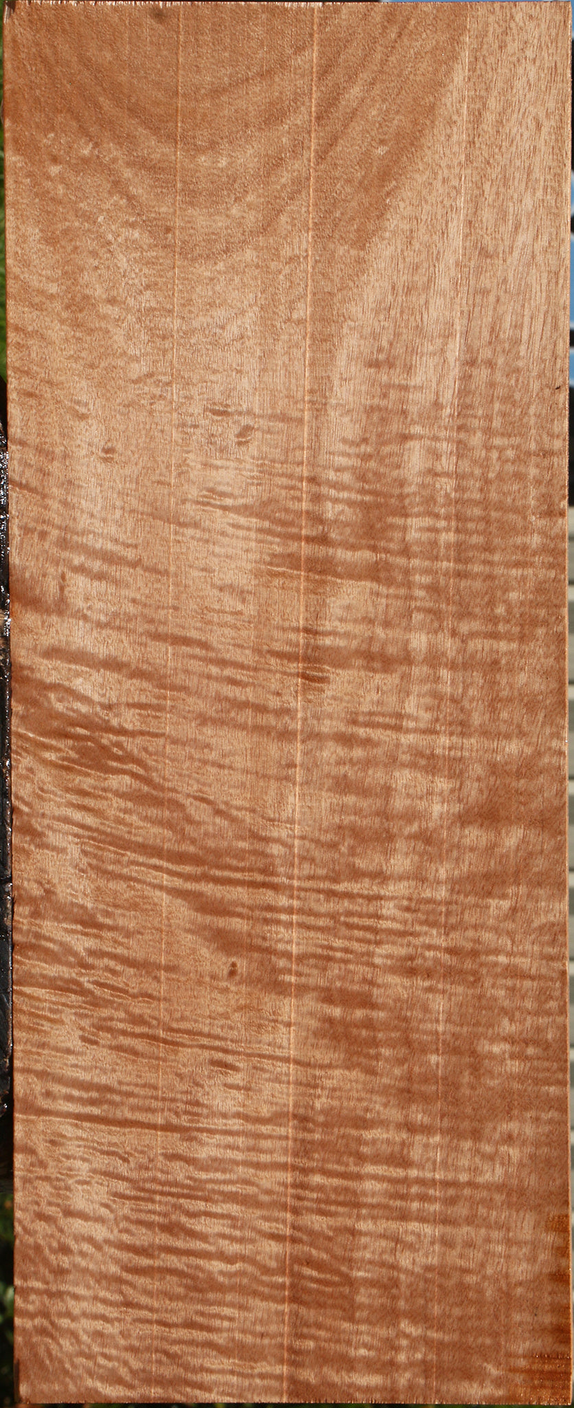 Extra Fancy Okoume Instrument Lumber