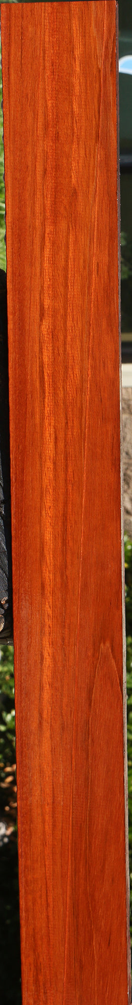 Jatoba Lumber