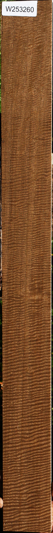 Mirindiba Micro Lumber
