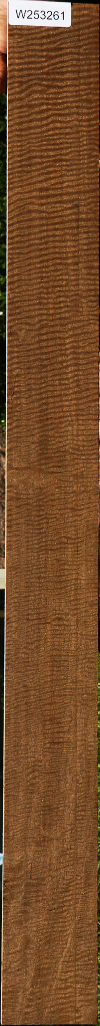Mirindiba Micro Lumber