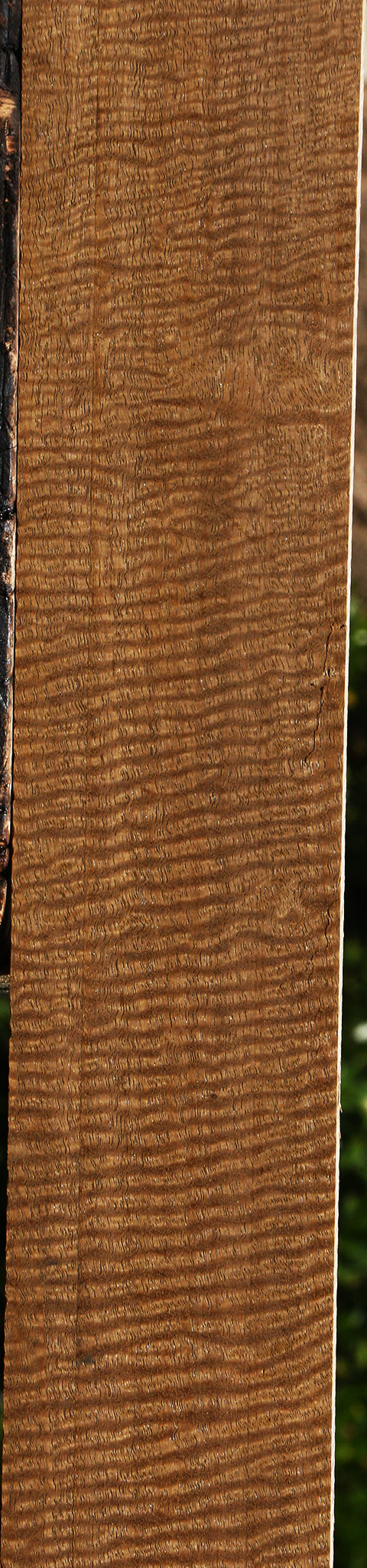 Mirindiba Micro Lumber