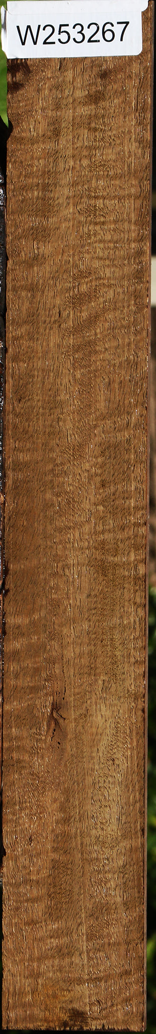 Mirindiba Micro Lumber