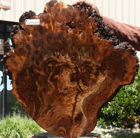 Claro Walnut Burl Cookie