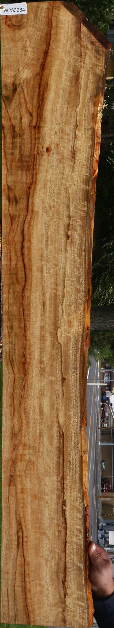 Extra Fancy Camphor Live Edge Lumber