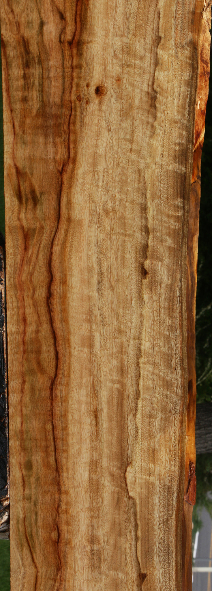 Extra Fancy Camphor Live Edge Lumber