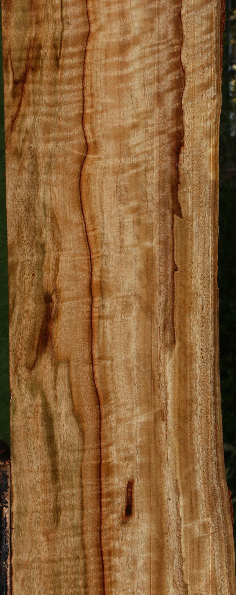 Extra Fancy Camphor Live Edge Lumber