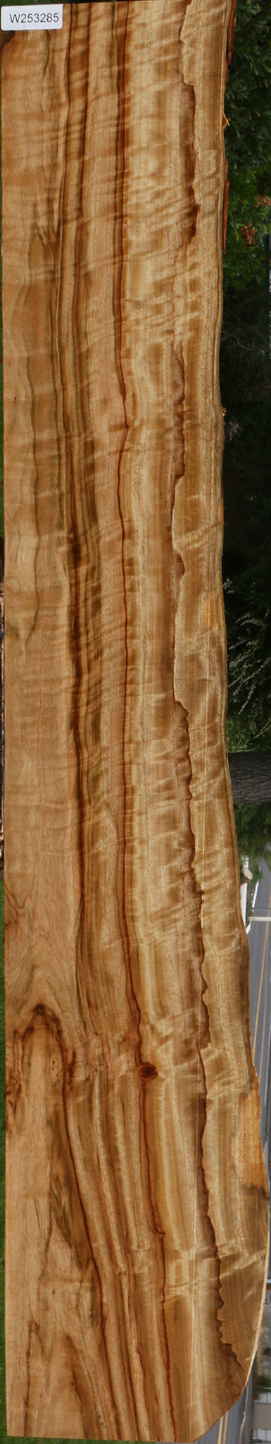 Extra Fancy Camphor Live Edge Lumber