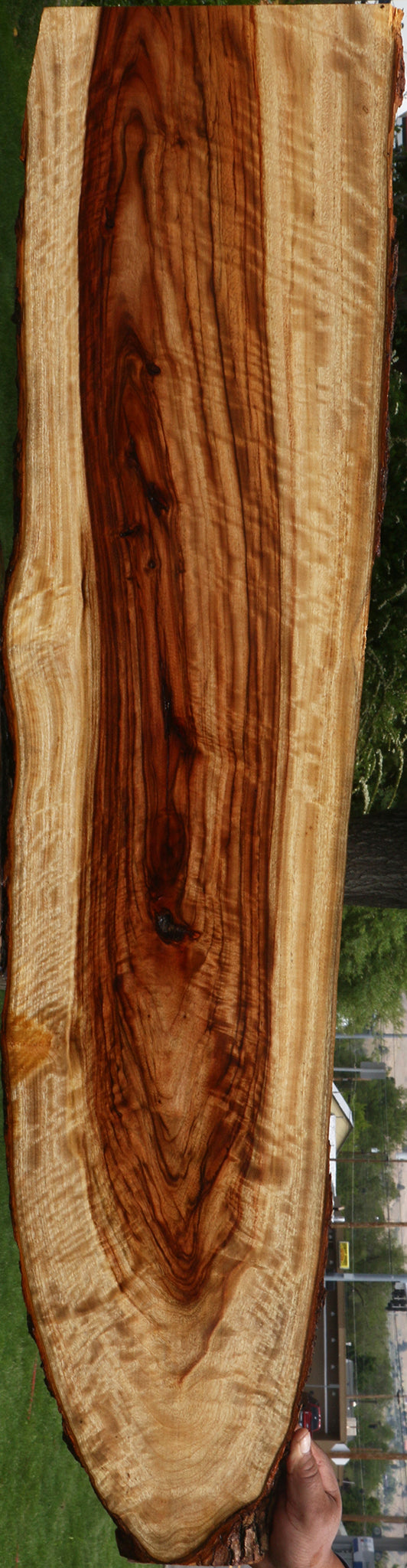 Extra Fancy Crotchwood Camphor Live Edge Lumber