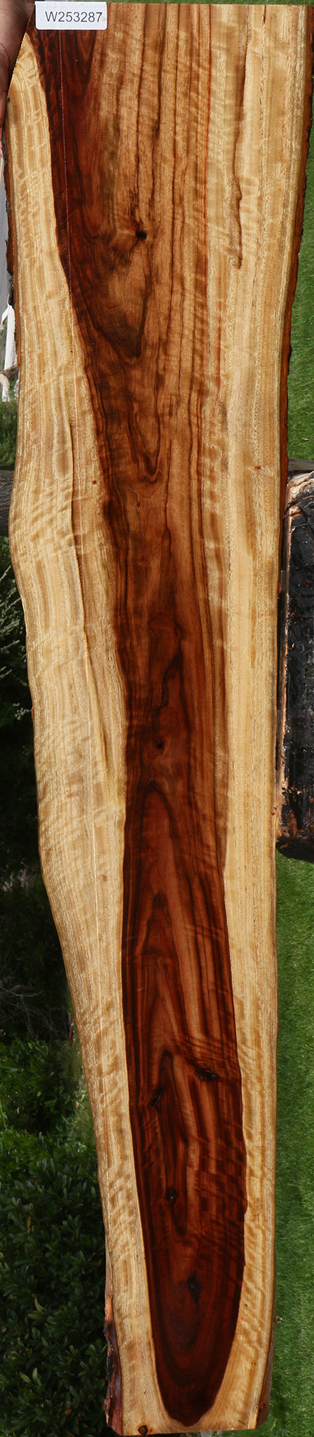Extra Fancy Camphor Live Edge Lumber