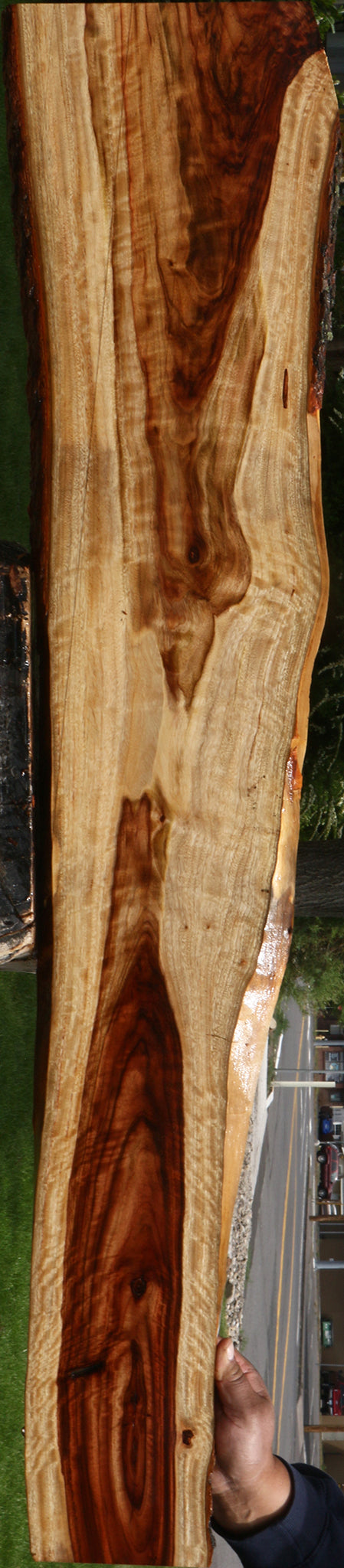 Extra Fancy Camphor Live Edge Lumber